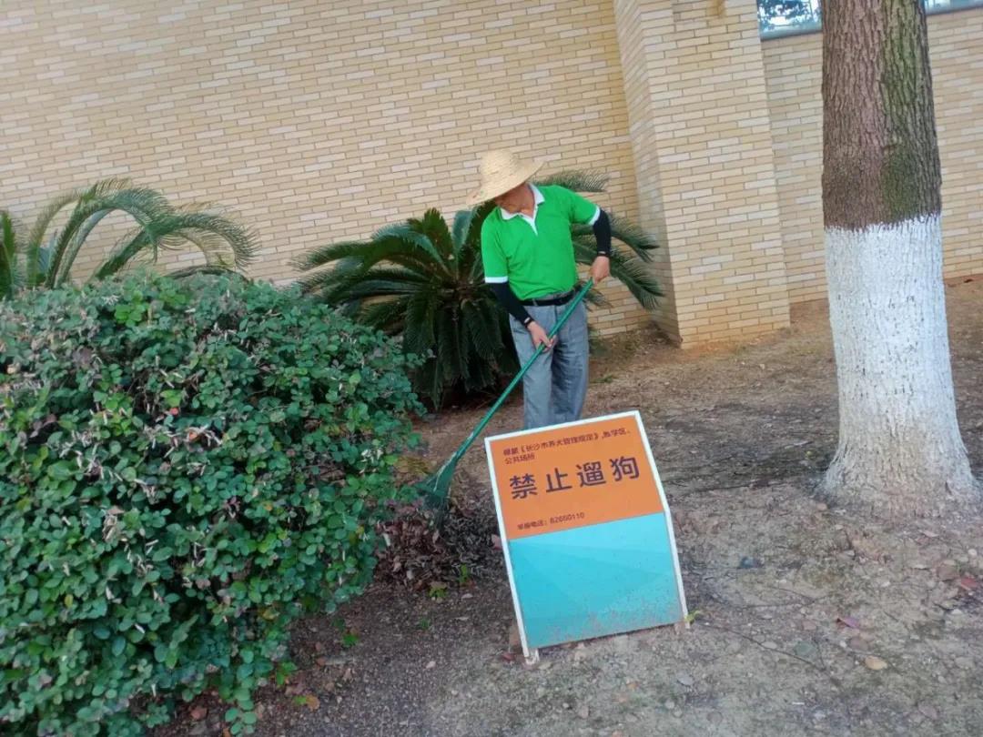 湖南保安服務,墻外高空清洗服務,湖南保利天創物業發展有限公司 湖南保安服務,墻外高空清洗服務,湖南保利天創物業發展有限公司