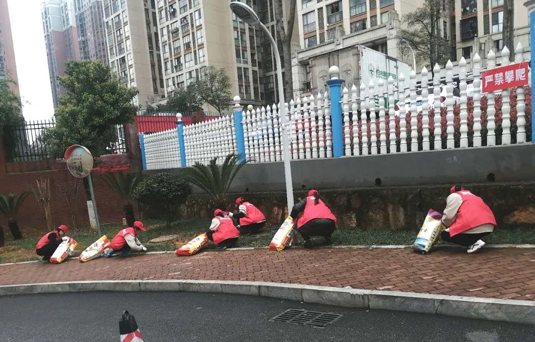 湖南保安服務,墻外高空清洗服務,湖南保利天創物業發展有限公司