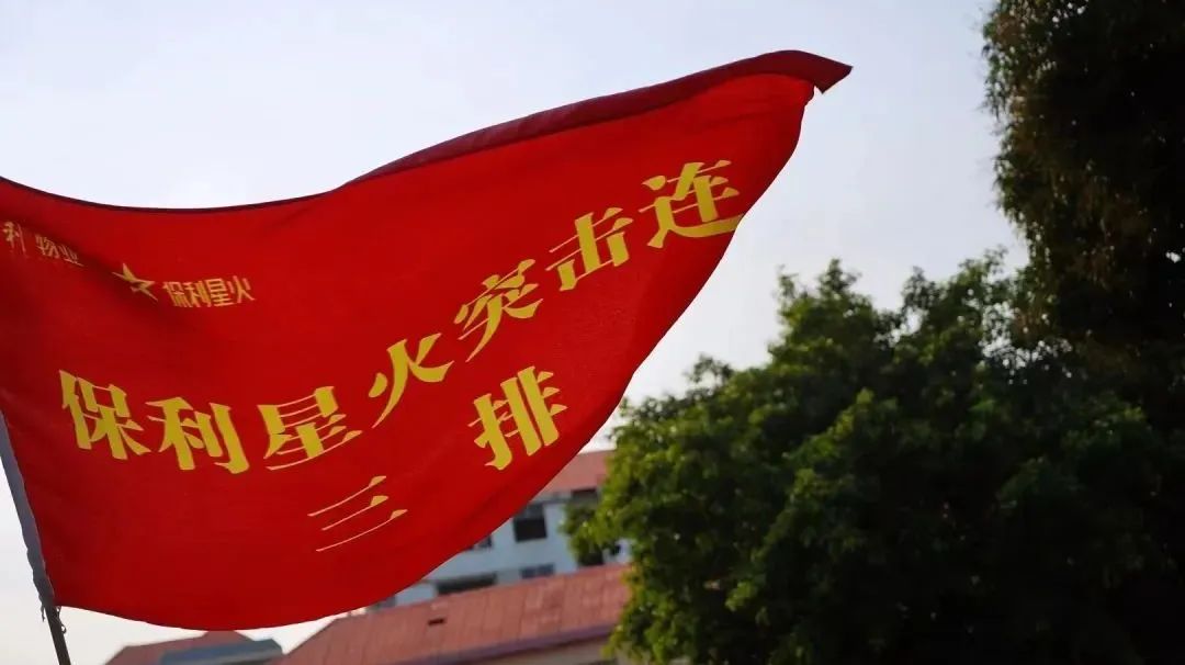 湖南保安服務,墻外高空清洗服務,湖南保利天創物業發展有限公司