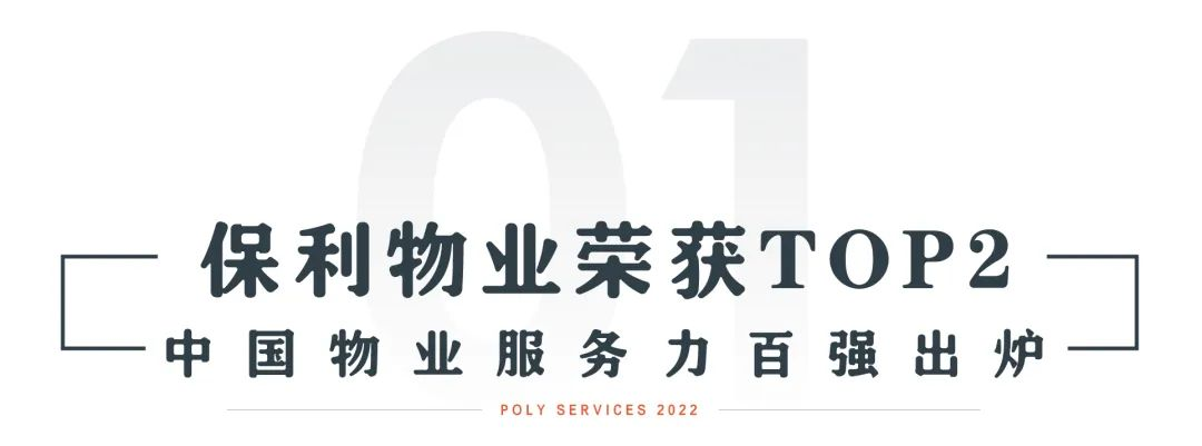 湖南保安服務,墻外高空清洗服務,湖南保利天創物業發展有限公司