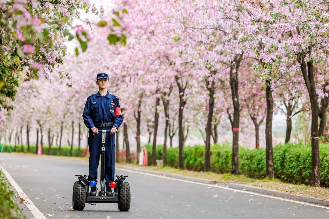 湖南保安服務,墻外高空清洗服務,湖南保利天創物業發展有限公司