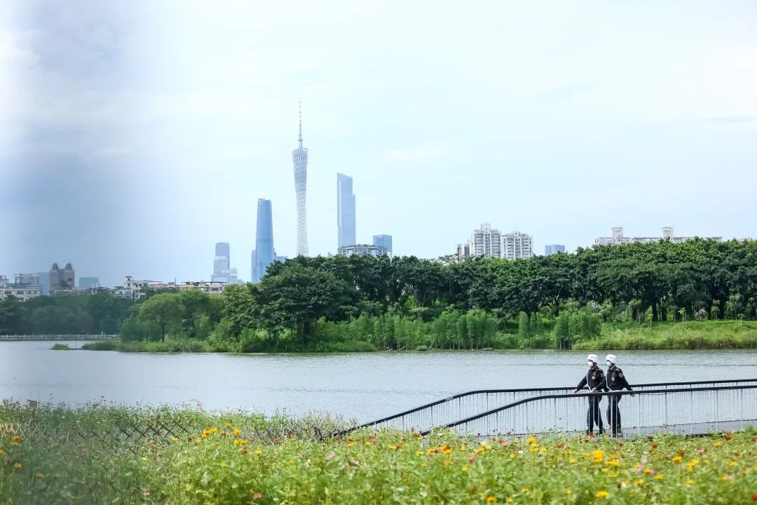 湖南保安服務,墻外高空清洗服務,湖南保利天創物業發展有限公司