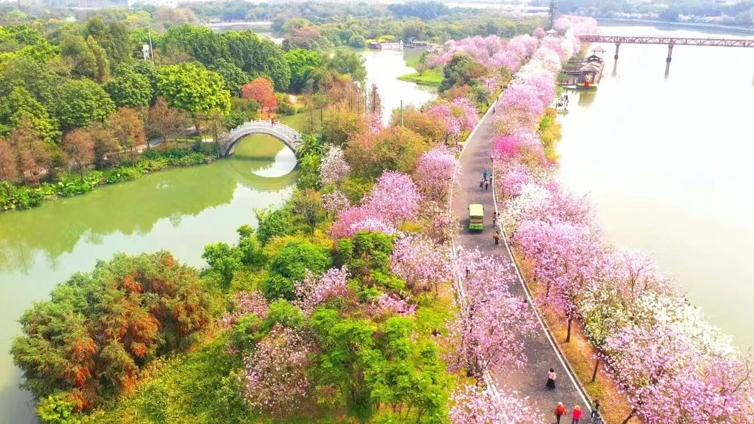 湖南保安服務,墻外高空清洗服務,湖南保利天創物業發展有限公司