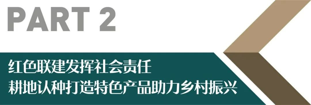 湖南保安服務,墻外高空清洗服務,湖南保利天創物業發展有限公司