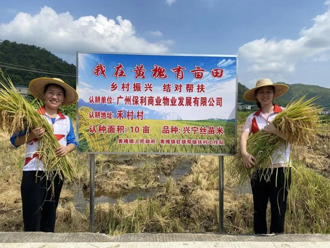 湖南保安服務,墻外高空清洗服務,湖南保利天創物業發展有限公司
