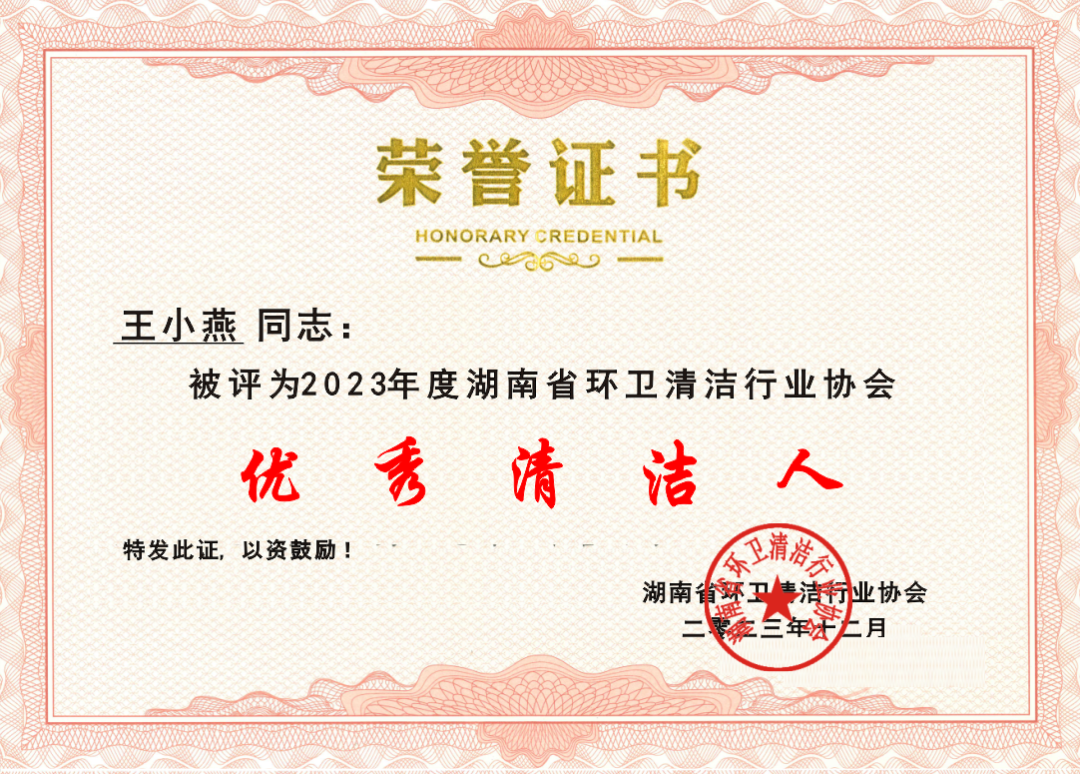 湖南保安服務,墻外高空清洗服務,湖南保利天創物業發展有限公司