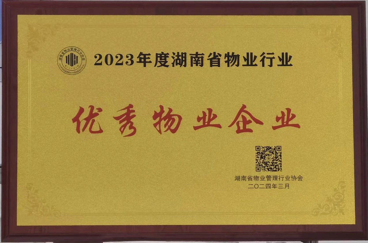 湖南保安服務,墻外高空清洗服務,湖南保利天創物業發展有限公司