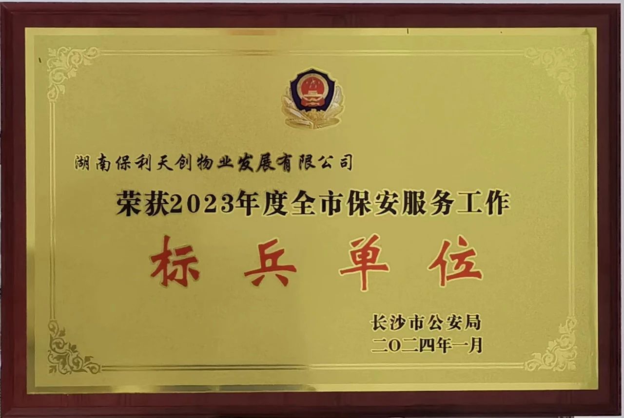 湖南保安服務,墻外高空清洗服務,湖南保利天創物業發展有限公司