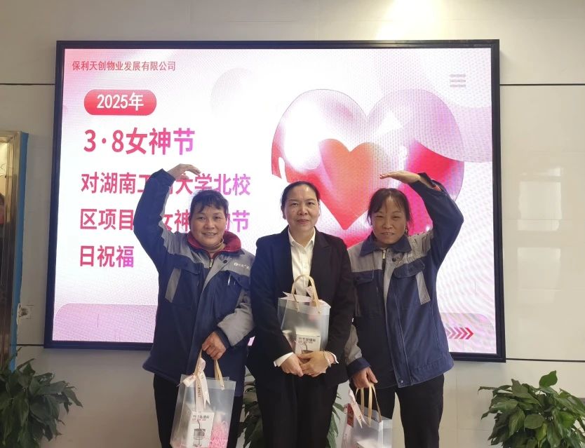 湖南保安服務,墻外高空清洗服務,湖南保利天創物業發展有限公司
