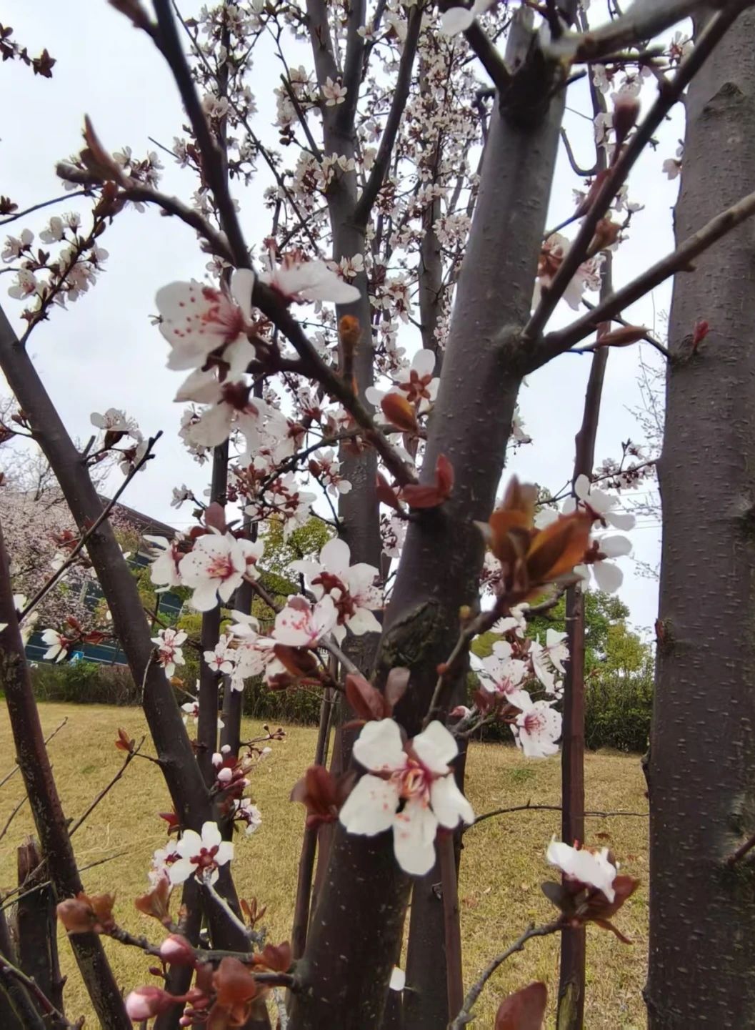 湖南保安服務,墻外高空清洗服務,湖南保利天創物業發展有限公司
