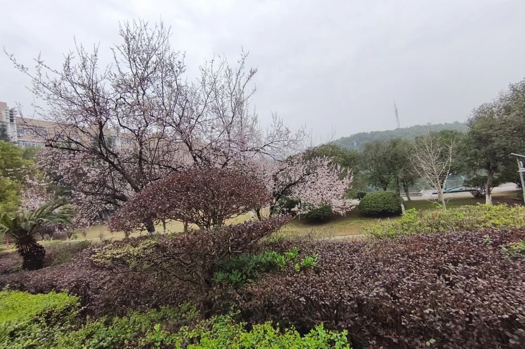 湖南保安服務,墻外高空清洗服務,湖南保利天創物業發展有限公司