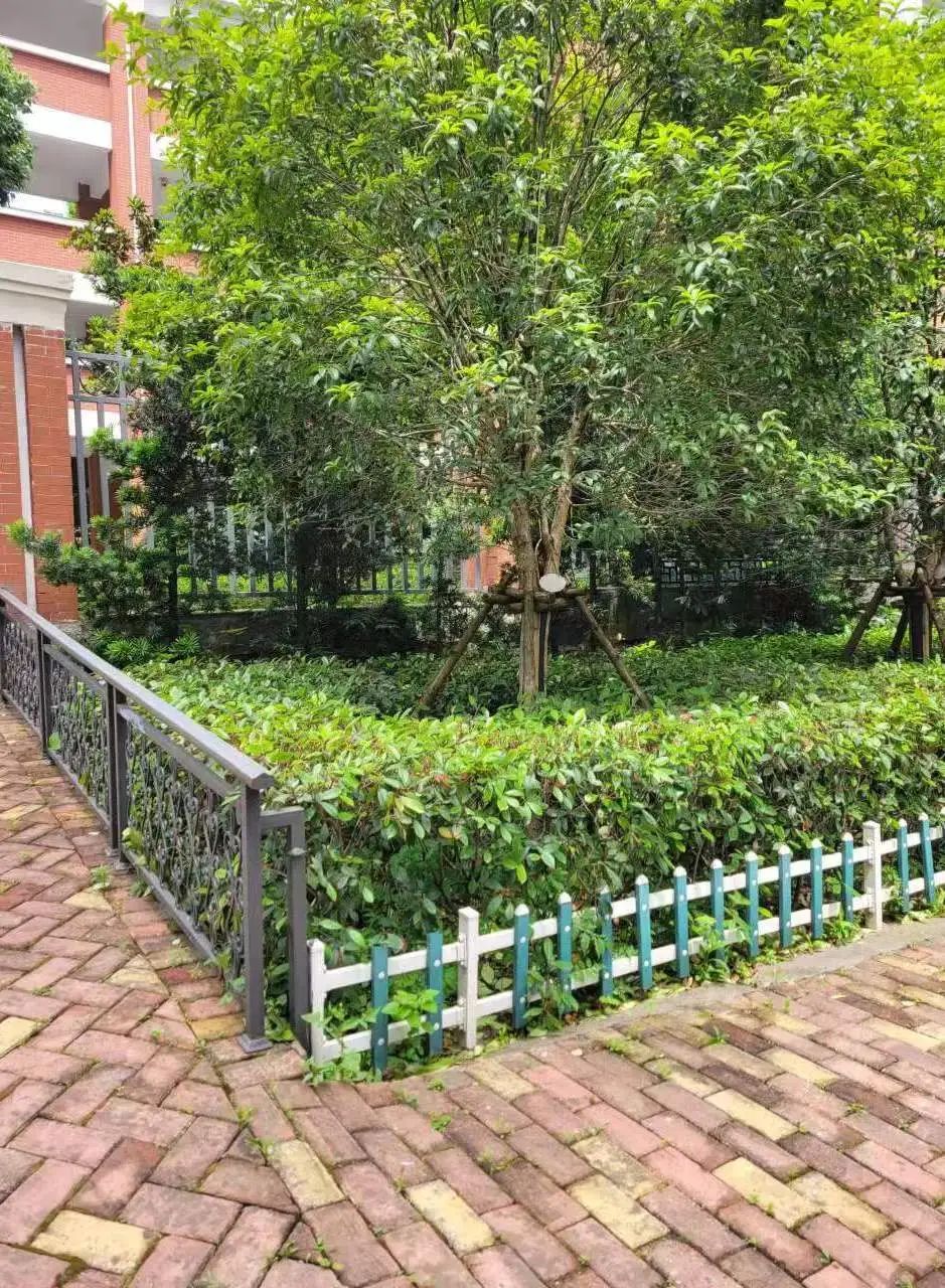 湖南保安服務,墻外高空清洗服務,湖南保利天創物業發展有限公司