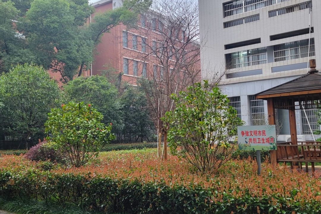 湖南保安服務,墻外高空清洗服務,湖南保利天創物業發展有限公司