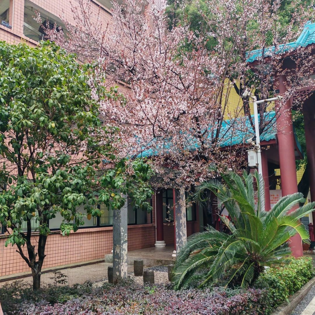 湖南保安服務,墻外高空清洗服務,湖南保利天創物業發展有限公司