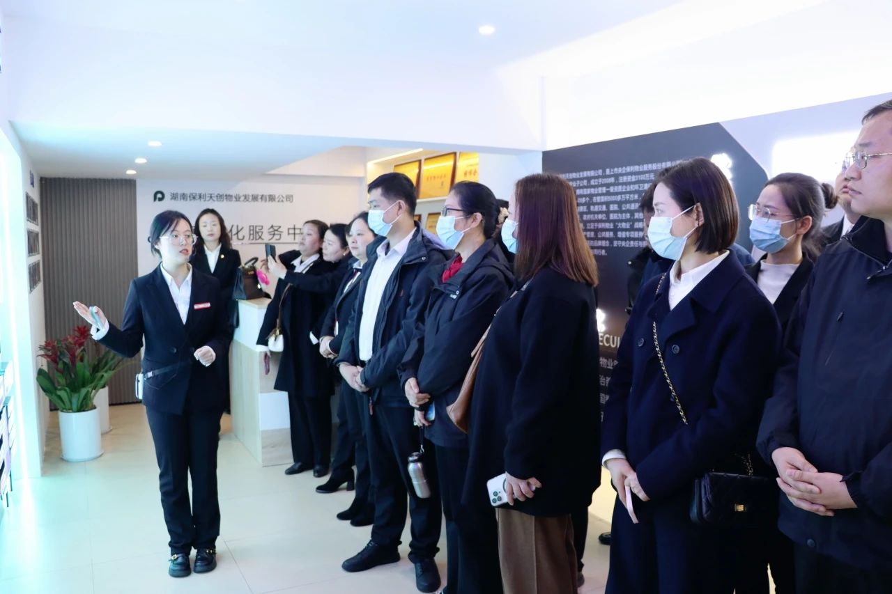 湖南保安服務,墻外高空清洗服務,湖南保利天創物業發展有限公司